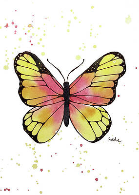 Butterfly by Catherine Bede