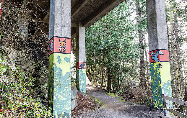 2023 Photograph - Butterfly Fox Eagle Heron by Tom Cochran