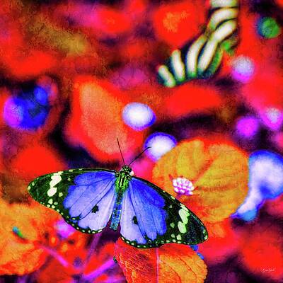 Wall Art featuring the digital art Butterfly Garden With Lichen Texture by Bruce Block