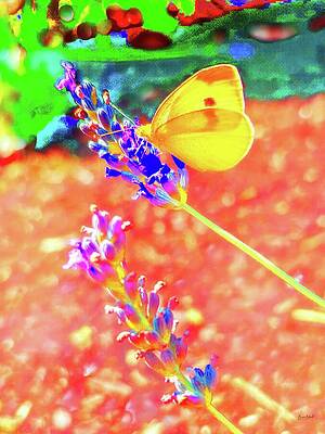 Colorful Wall Art featuring the photograph Butterfly On Lavender by Bruce Block