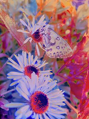 Butterfly on Vibrant Flowers Wall Art