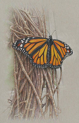 Butterfly on Vines by Terry Edeker