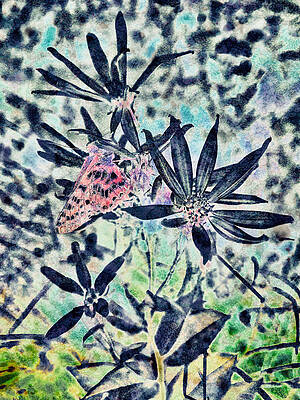 Wall Art featuring the photograph Butterfly On Wildflowers by Bruce Block