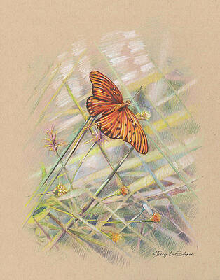 Butterfly by Terry Edeker