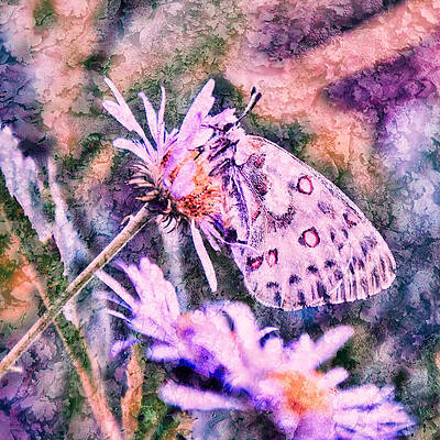 Wall Art featuring the photograph Butterfly With Lichen Texture by Bruce Block