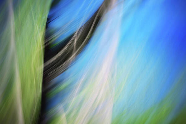 Tree Photograph - By The Blue Lake by Ursula Abresch