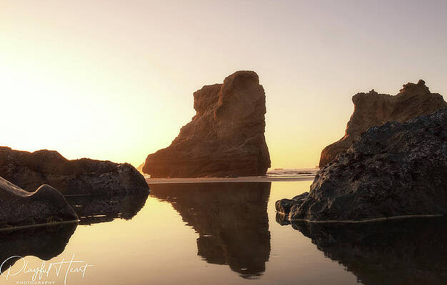 Landscape Photograph - Rocky Reflections by DeAnna Lord