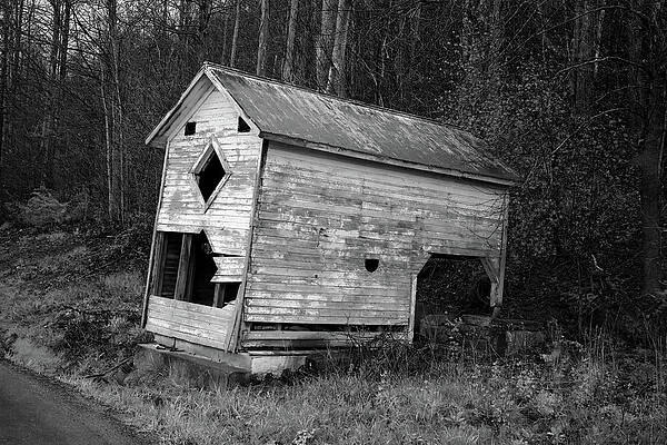 Wall Art featuring the photograph Bygone Dreams 5B by Sally Fuller