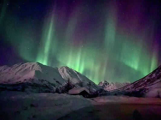 Wilderness Wall Art featuring the photograph Cabin Lights by Harry Banks