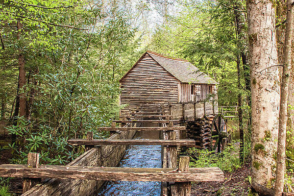 Historic Watermill in Lush Forest Wall Art