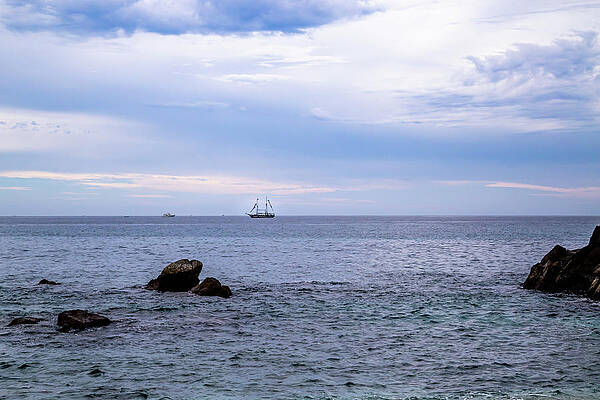 California Wall Art featuring the photograph Cabo Sails 2 by Cindy Robinson