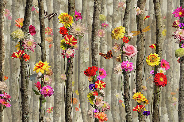 Nature Wall Art featuring the photograph Cadence by Steven Lutz