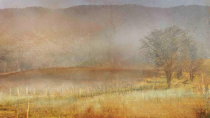 Appalachia Wall Art featuring the photograph Cades Cove Hyatt Lane by Theresa D Williams Smoky Mountains