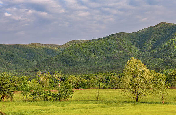 Wall Art featuring the photograph Cades Cove In The Peak Of Spring by Marcy Wielfaert