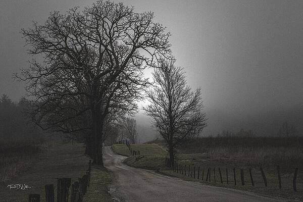 Appalachia Wall Art featuring the photograph Cades Cove The Off Season by Theresa D Williams Smoky Mountains