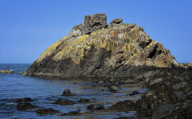 Wall Art featuring the photograph Cairncastle Up Close by Steven Nelson