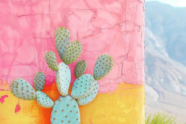 Vibrant Wall Art featuring the digital art California Dreaming - Cactus Colorwall II by Philippe HUGONNARD