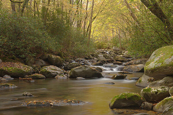 Fall Wall Art featuring the photograph Calm Mountain Stream by Michael Collins