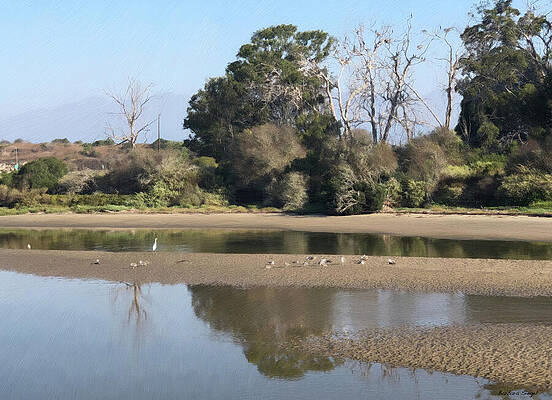 Calm River with Reflection and Birds Photograph