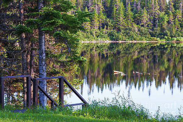 Canada Wall Art featuring the photograph Calm Water Reflections At Tuckamore Lake, Newfoundland by Tatiana Travelways