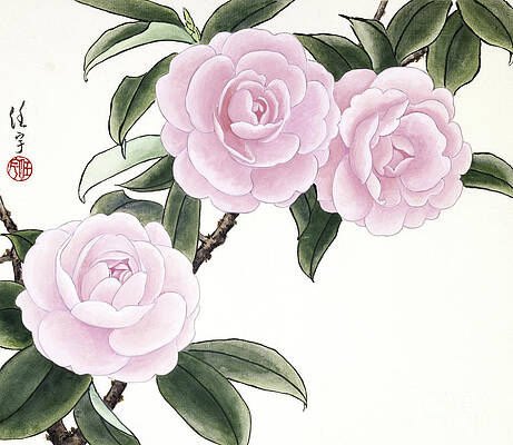 Garden Painting - Pink Camellias II by Ren Yu