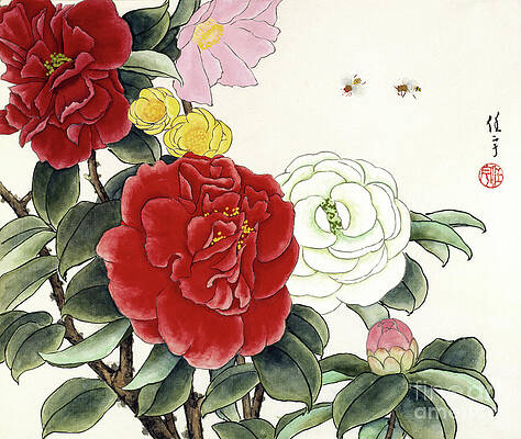 Garden Painting - Red And White Camellias by Ren Yu