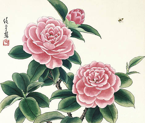 Garden Painting - Pink Camellias I by Ren Yu