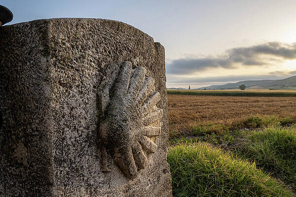 Natural Wall Art featuring the photograph Camino De Santiago Shell by Michael Warren