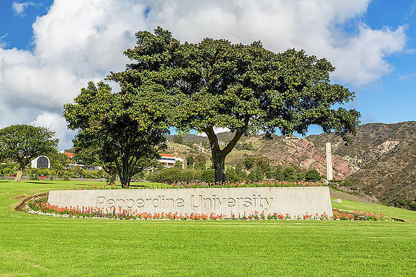 Modern Wall Art featuring the photograph Campus At Pepperdine University by Steven Heap