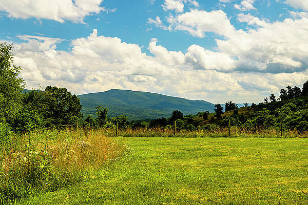 Mountain Photograph - Blue Ridge Vista by David Fountain