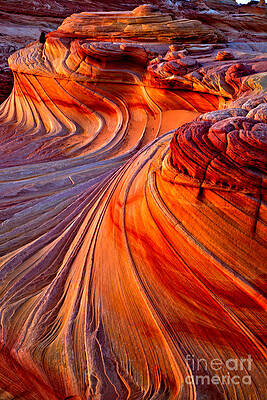 Wilderness Wall Art featuring the photograph Candy Dragon by Adam Jewell