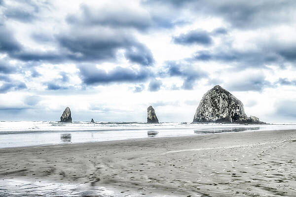 Cannon Beach Seascape Wall Art