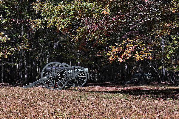 Confederate Wall Art featuring the photograph Cannons Under The Canopy by American Landscapes