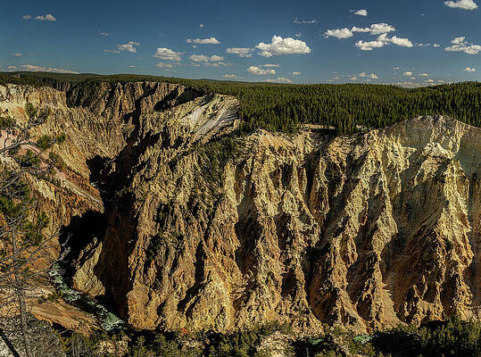 National Parks Wall Art featuring the photograph Canyon Crevices by Tim Lyden