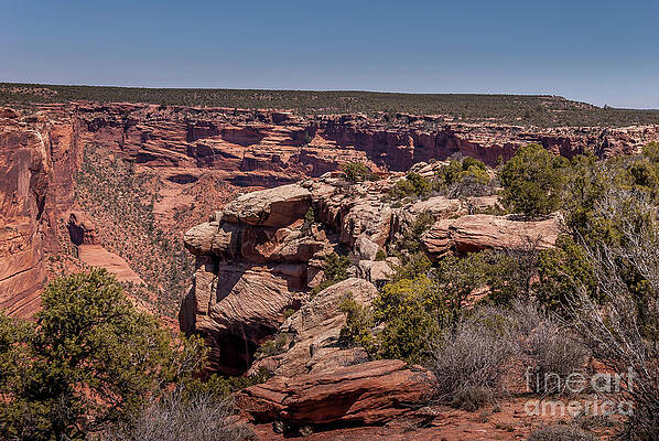 Arizona Wall Art featuring the photograph Canyon De Chelly #2 by Blake Webster