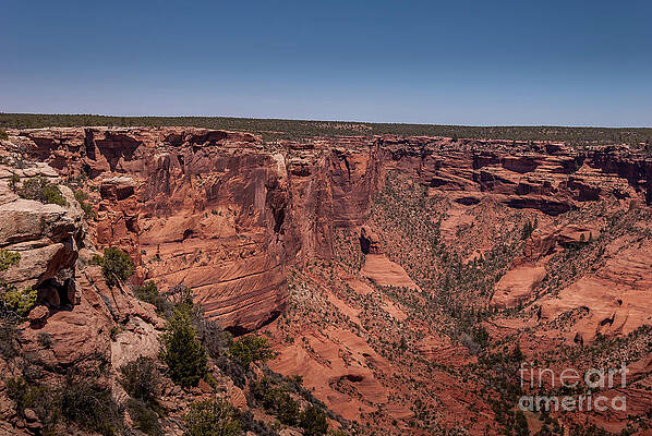 Arizona Wall Art featuring the photograph Canyon De Chelly #3 by Blake Webster