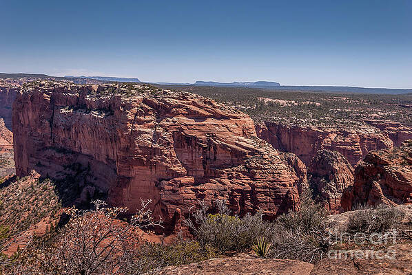 Arizona Wall Art featuring the photograph Canyon De Chelly #4 by Blake Webster