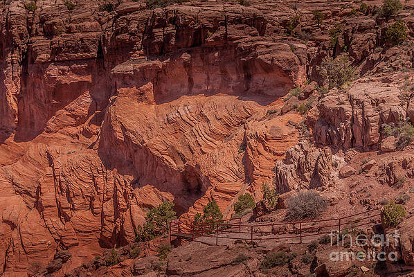 Arizona Wall Art featuring the photograph Canyon De Chelly #6 by Blake Webster