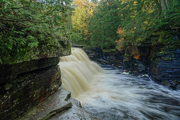 Fall Wall Art featuring the photograph Canyon Falls In Autumn by Michael Collins