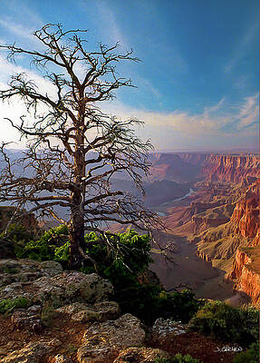 Sky Wall Art featuring the photograph Canyon Glow by Jim Carlen