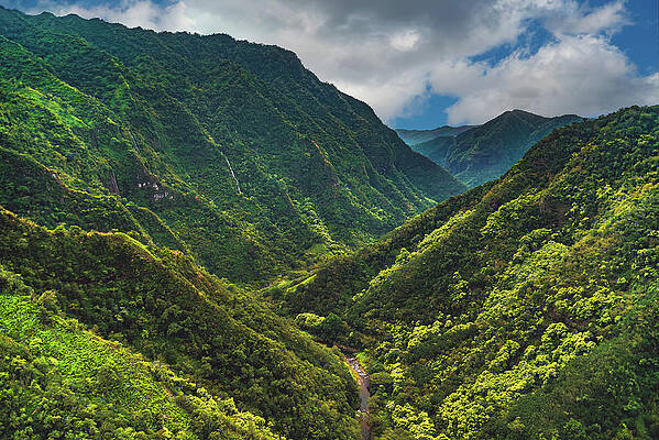Canyon Photograph - Canyon On Kauai, Hawaii by Abbie Warnock