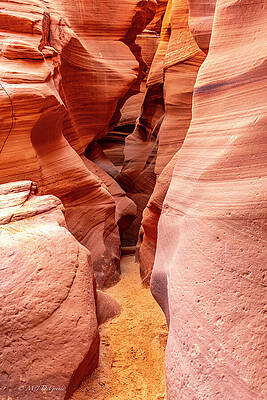 Wall Art featuring the photograph Canyon X Entrance by Michael DeGrenier