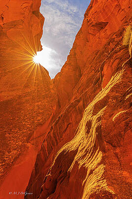 Wall Art featuring the photograph Canyon X Starburst by Michael DeGrenier