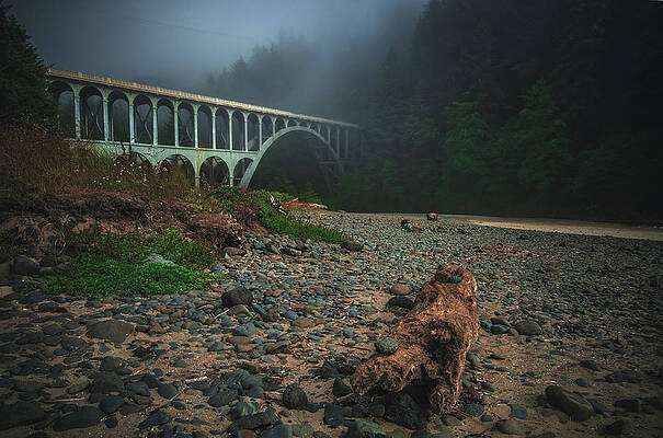 Moody Photograph - Cape Creek Bridge And Fog, Oregon by Abbie Warnock