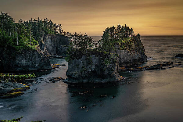 Wall Art featuring the photograph Cape Flattery No. 3 by Matt Halvorson