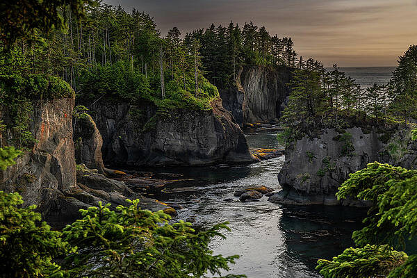 Photograph - Cape Flattery Number 1 by Matt Halvorson