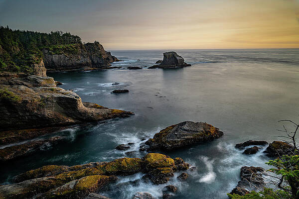 Photograph - Cape Flattery Number 5 by Matt Halvorson
