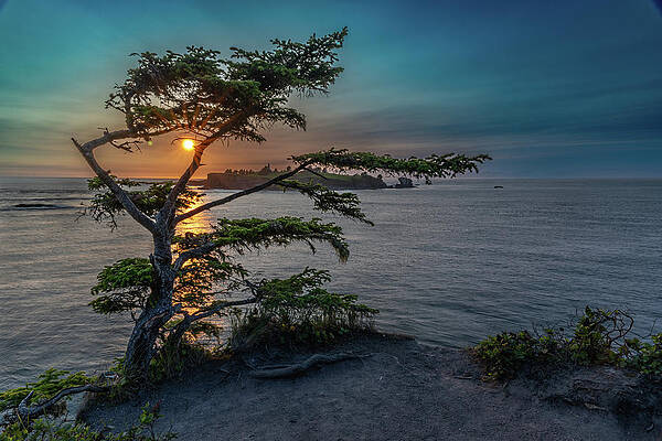 Photograph - Cape Flattery Sunset by Matt Halvorson