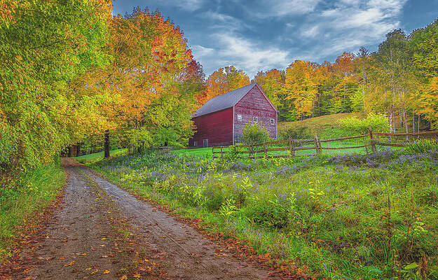 Wall Art featuring the photograph Caper Hill Farm by Penny Polakoff