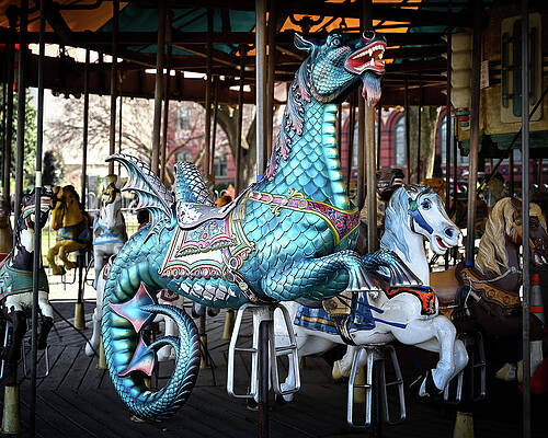 Wall Art featuring the photograph Capitol Sea Dragon by Steven Nelson